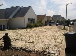 matilda interior renovation beach haven west018