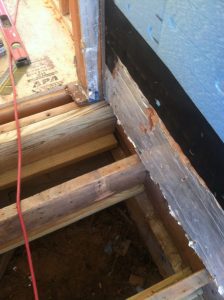 matilda interior renovation beach haven west058